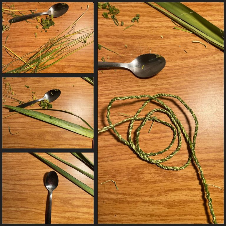 A new hobby emerges from a walk! Processing yucca leaves to cordage, just like the puebloan people.